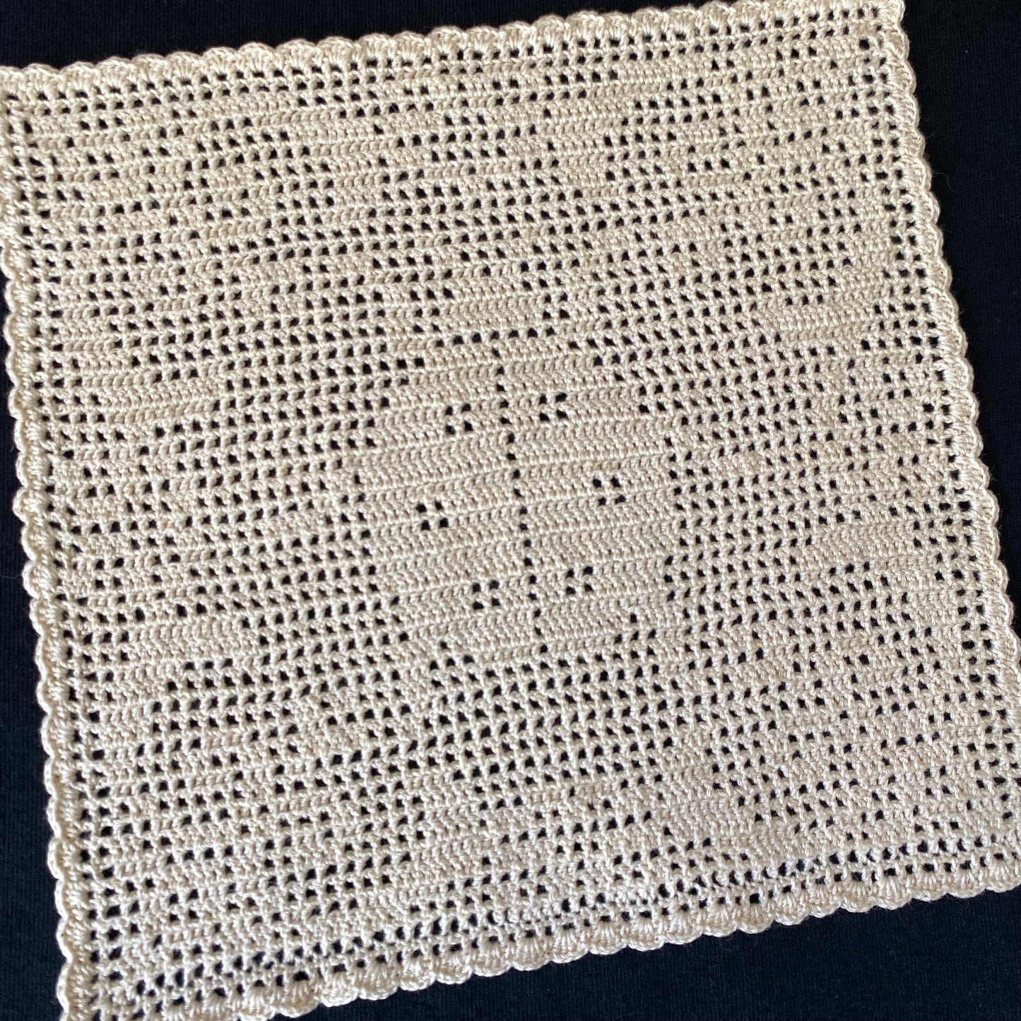Ladybug Crochet Tapestry