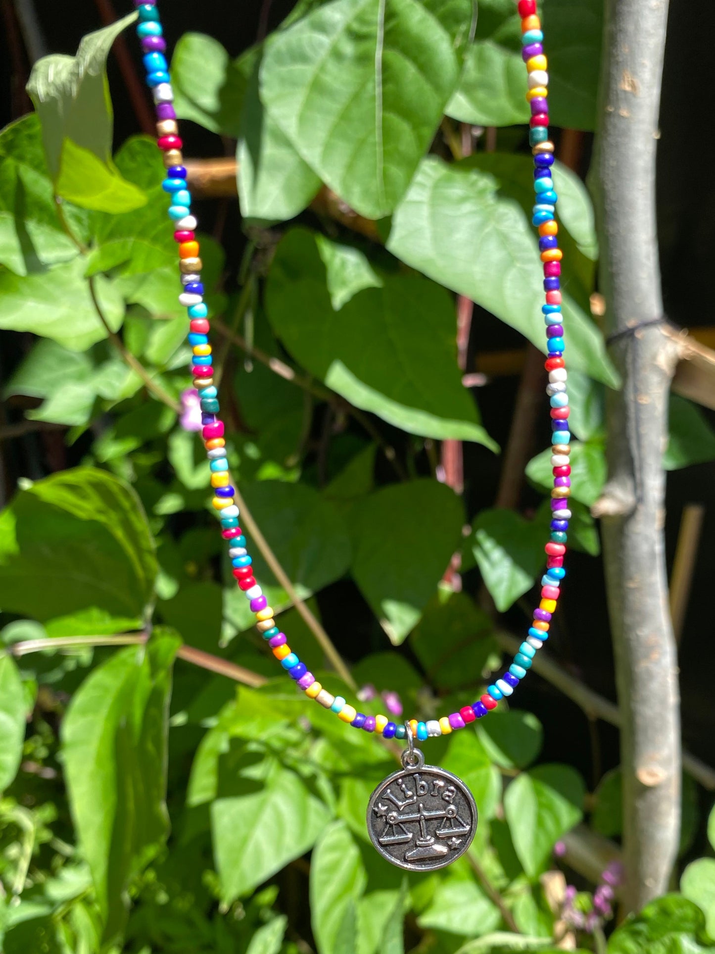 Multicolour Zodiac Sign Necklace